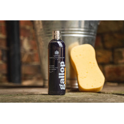 Gallop® Shampoo Carr & Day & Martin Zwart