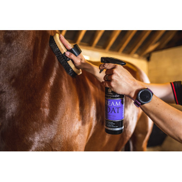 Lustrerend Carr & Day & Martin Dreamcoat