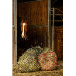 Hooinet Hippotonic Zari Hooinet Hippotonic Zari