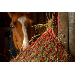 Hooinet Hippotonic Zari Rood / zilverkleurig