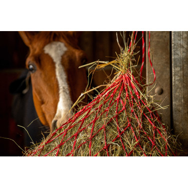 Hooinet Hippotonic Zari Rood / zilverkleurig