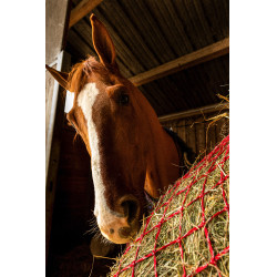Hooinet Hippotonic Zari Rood / zilverkleurig
