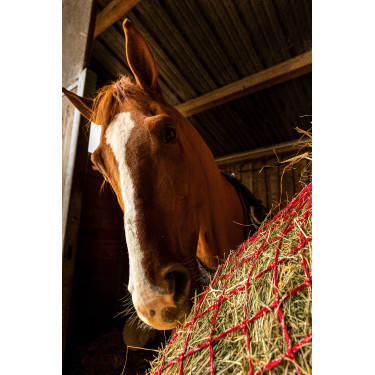 Hooinet Hippotonic Zari Rood / zilverkleurig