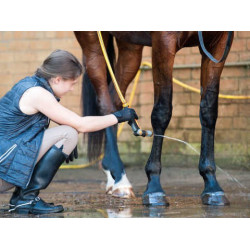 Shampoo Animaderm Tea Tree