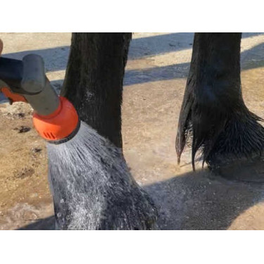 Shampoo Animaderm Tea Tree