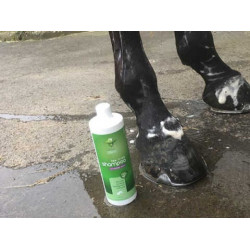 Shampoo Animaderm Tea Tree