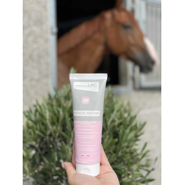 Ruimte Reparatie LPC