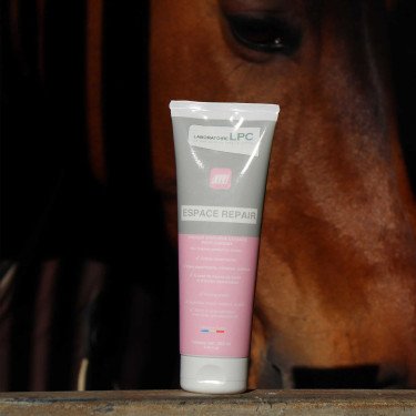 Ruimte Reparatie LPC