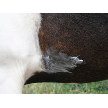 Balsem Animaderm Natjely Balsem Animaderm Natjely