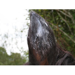 Balsem Animaderm Natjely Balsem Animaderm Natjely