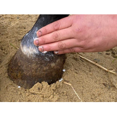 Balsem Animaderm Natjely Balsem Animaderm Natjely