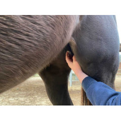 Balsem Animaderm Natjely Balsem Animaderm Natjely