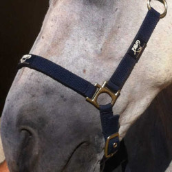 Regenererende Animaderm Cutene Regenererende Animaderm Cutene