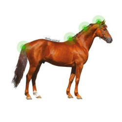 Lotion Animaderm Origineel Lotion Animaderm Origineel