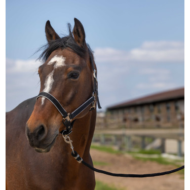 Halster Equithème Nylon light Zwart