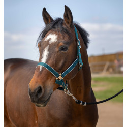 Halster Equithème Nylon light Donkergroen