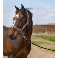 Halster Equithème Nylon light Zwart Halster Equithème Nylon light Zwart