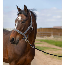 Halster Equithème Nylon light Grijs