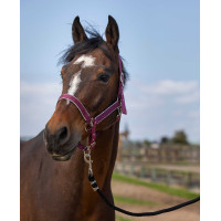 Halster Equithème Nylon light Bordeaux