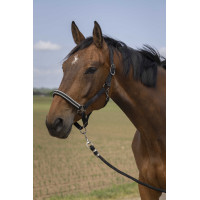 Halster Equithème Nylon Chevron Zwart Halster Equithème Nylon Chevron Zwart