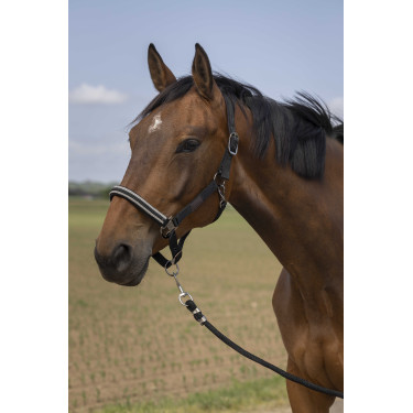 Halster Equithème Nylon Chevron Zwart