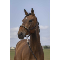 Halster Equithème Nylon Chevron Bruin