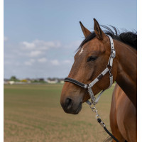 Halster Equithème Nylon Chevron Zwart