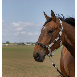 Halster Equithème Nylon Chevron Lichtgrijs