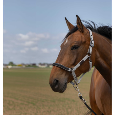 Halster Equithème Nylon Chevron Lichtgrijs
