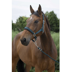 Halster + leadrope Norton Large Donkergroen