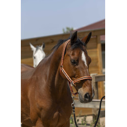 Halster Norton Satijn Koraal / zwart Rood Halster Norton Satijn Koraal / zwart Rood