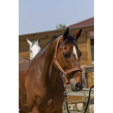 Halster Norton Satijn Koraal / zwart Rood Halster Norton Satijn Koraal / zwart Rood