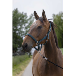 Halster Norton Satijn Donkergroen