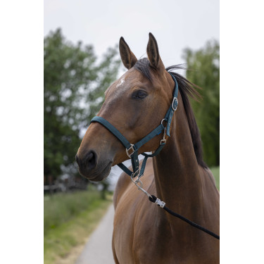 Halster Norton Satijn Donkergroen