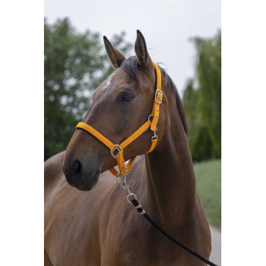 Halster Norton Satijn Oranje