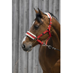 Halster Riding World synthetische schapenvacht Rood Halster Riding World synthetische schapenvacht Rood