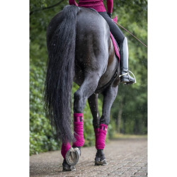 Polo bandages Loire LeMieux Donkerpaars Bordeaux