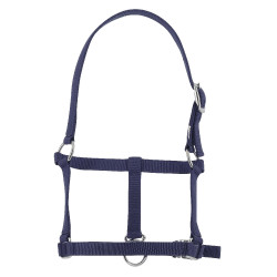 Halster veulen Riding World Marineblauw