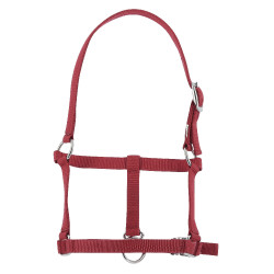 Halster veulen Riding World Bordeaux Halster veulen Riding World Bordeaux