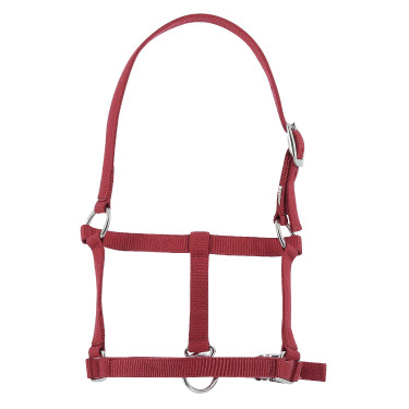 Halster veulen Riding World Bordeaux Halster veulen Riding World Bordeaux