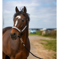 Halster Equithème Nylon Check Zwart / bruin