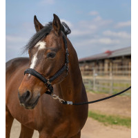 Halster Equithème Nylon Strass Zwart