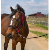 Halster Equithème Nylon Strass Zwart Halster Equithème Nylon Strass Zwart