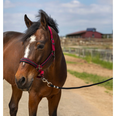 Halster Equithème Nylon Strass Bordeaux