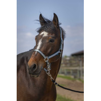 Halster Norton Nylon Soft Donkergroen