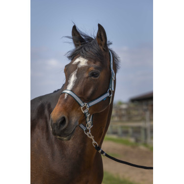 Halster Norton Nylon Soft Donkergroen