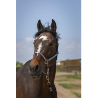 Halster Norton Nylon Soft Zwart