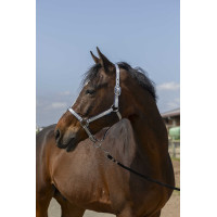 Halster Norton Nylon Soft Marineblauw