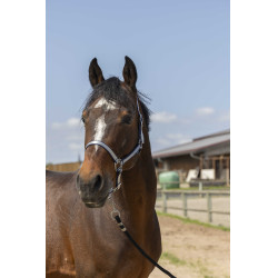 Halster Norton Nylon Soft Marineblauw Halster Norton Nylon Soft Marineblauw