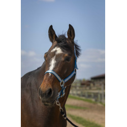 Halster Norton Nylon Soft Turkoois Blauw
